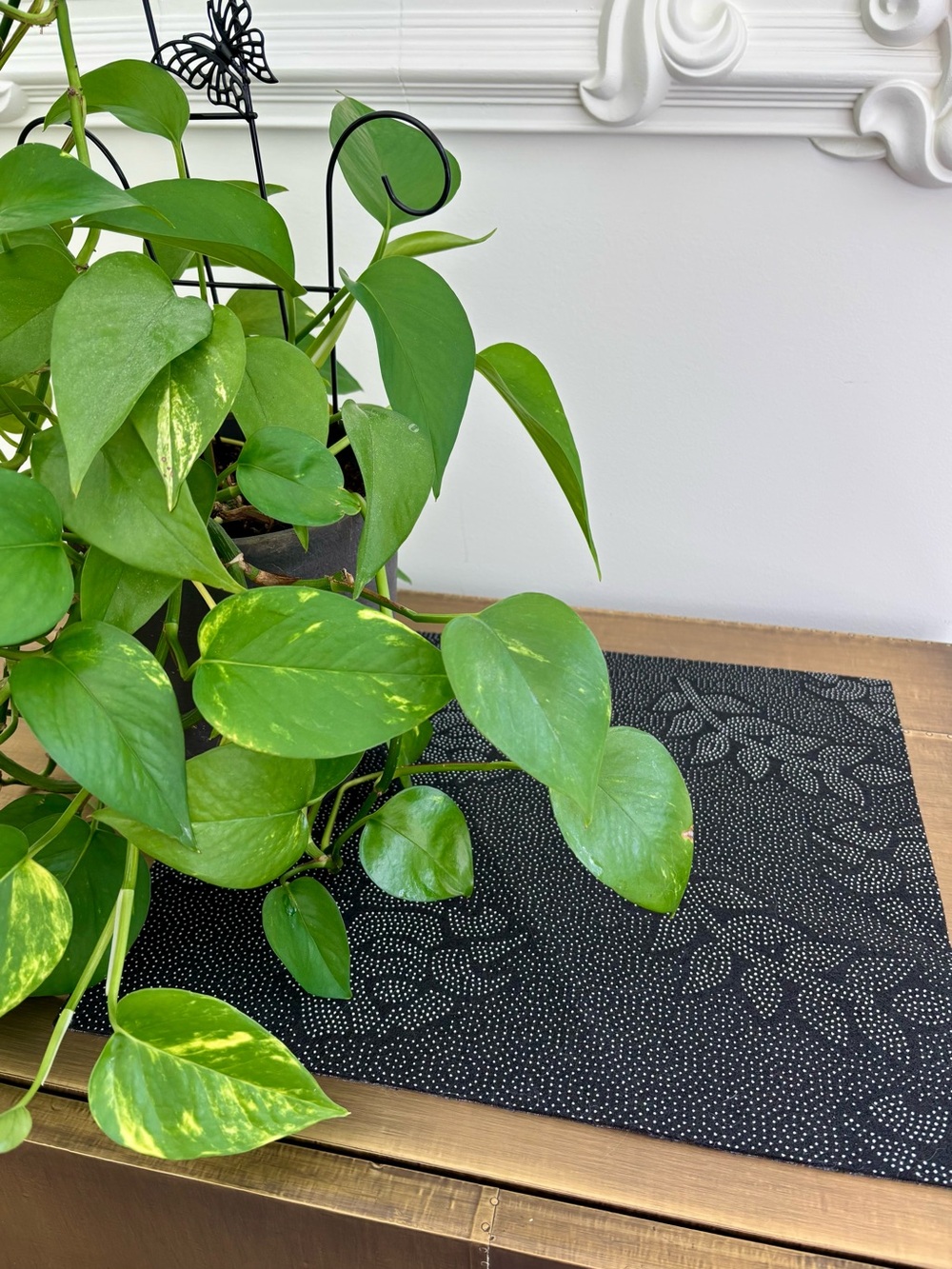 Black Cat-Themed Pet Feeding Mat with Starry Design - Black - Picture 5 of 5